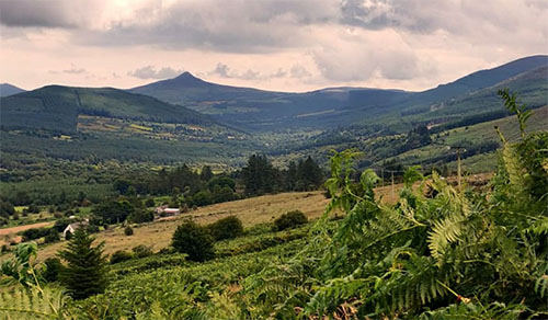 wicklow-1.jpg